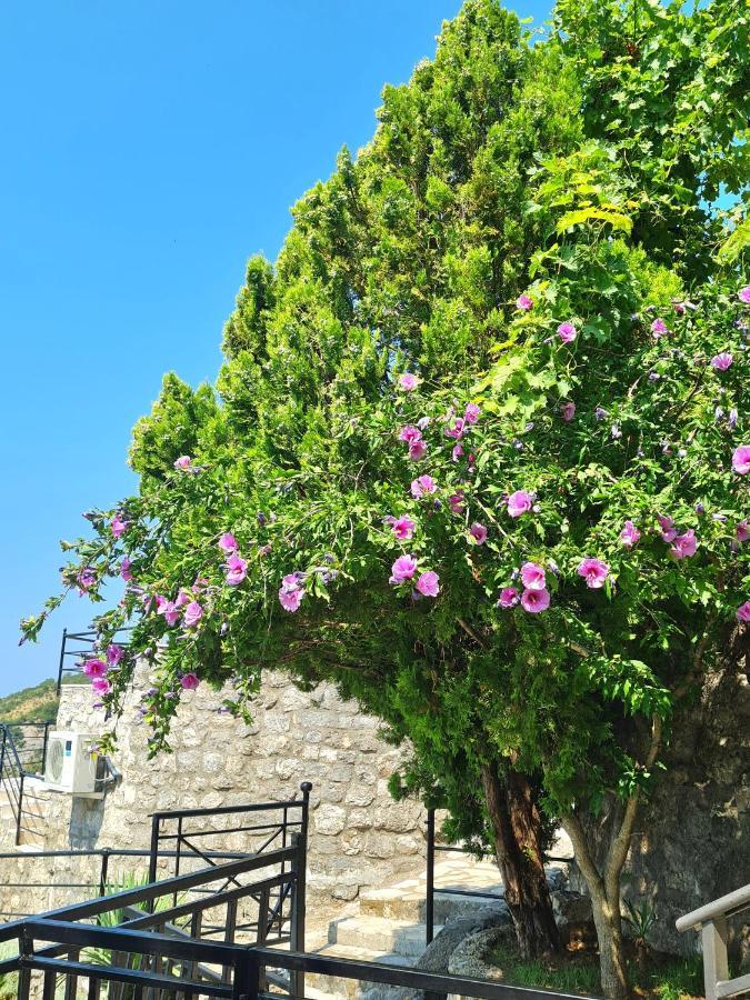 Villa Nera Budva Exteriér fotografie