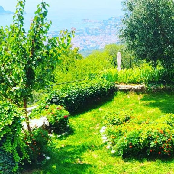 Villa Nera Budva Exteriér fotografie