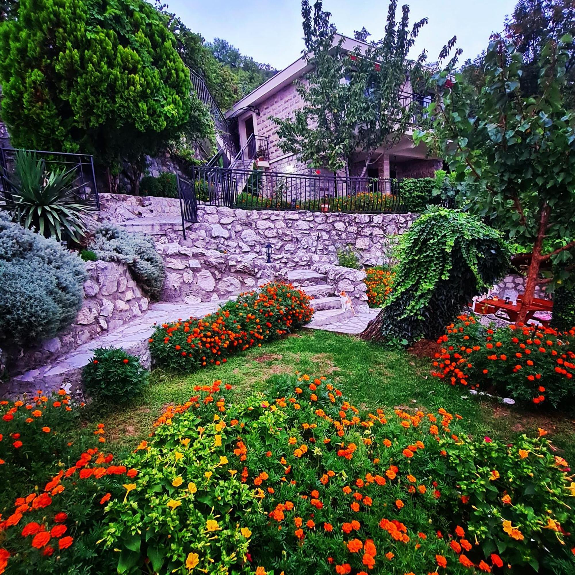 Villa Nera Budva Exteriér fotografie